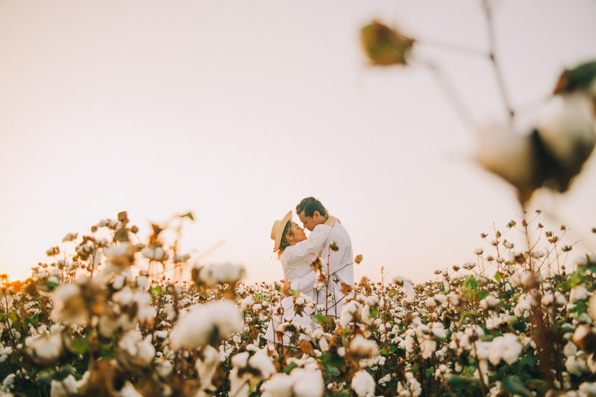 Descripción de la imagen 12